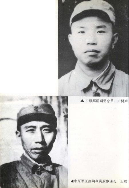 《中原突围史》.pdf电子版_湖北省志插图5