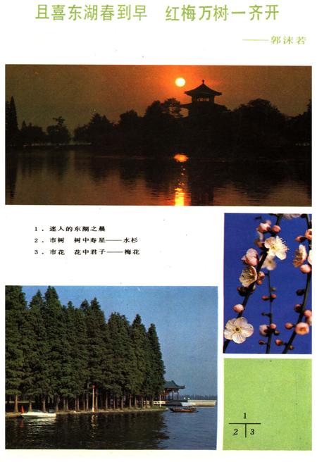 《武汉通览》.pdf电子版_湖北省志插图5