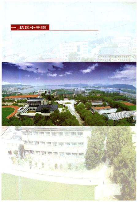 《武汉体育学院校史 1953-2003》.pdf电子版_湖北省志插图3