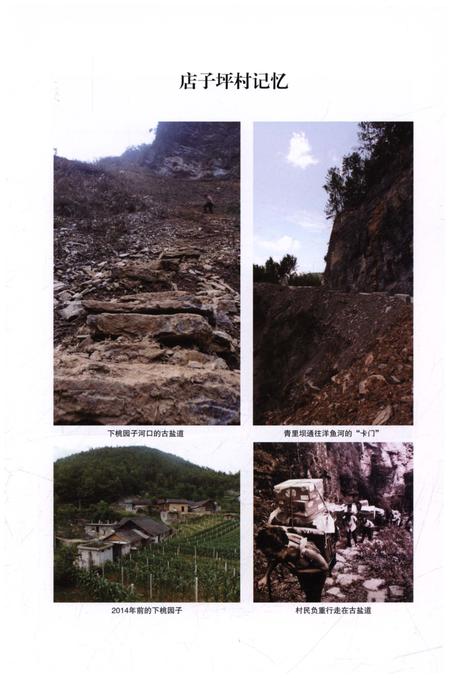 《店子坪村志》.pdf电子版_湖北省志插图3