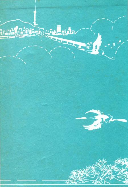 《武汉市城市规划志》.pdf电子版_湖北省志插图1