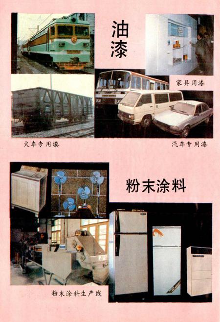 《湖南造漆厂志》.pdf电子版_湖南省志插图5