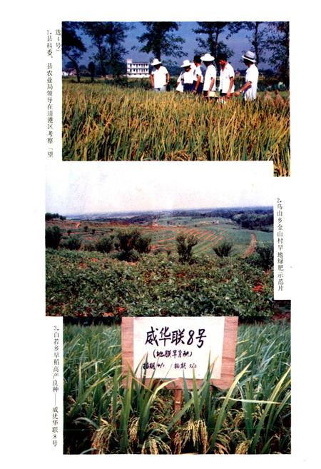 《望城县农业志》.pdf电子版_湖南省志插图4