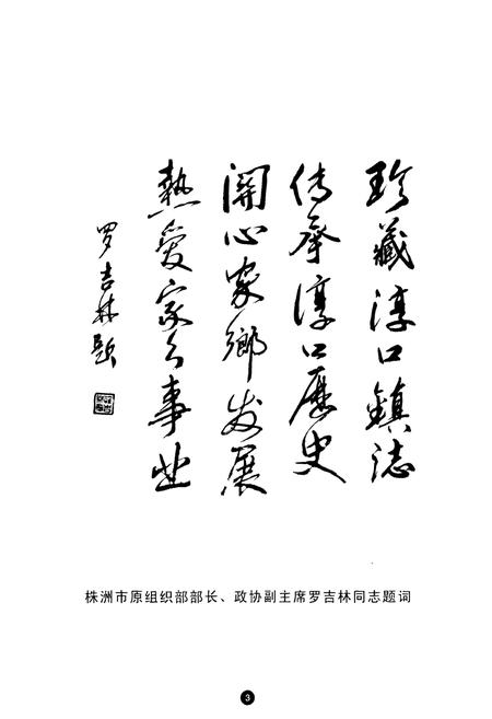 《湖南省浏阳市淳口镇志》.pdf电子版_湖南省志插图3