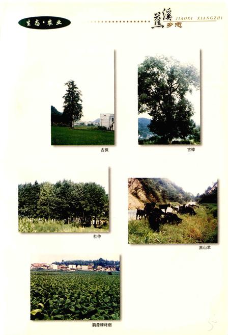 《湖南省浏阳市蕉溪乡志》.pdf电子版_湖南省志插图5