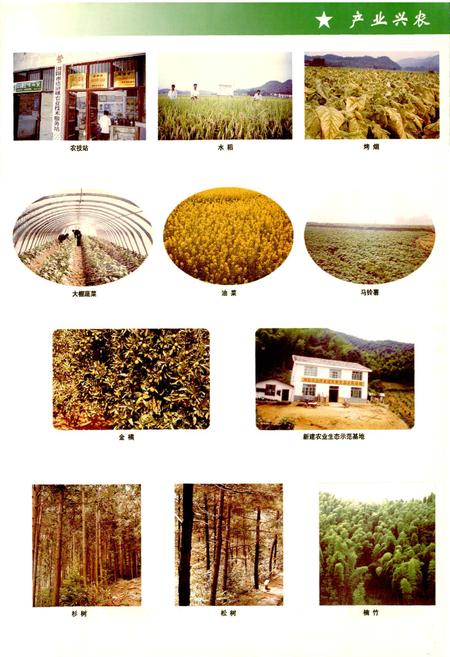 《湖南省浏阳市达浒镇志》.pdf电子版_湖南省志插图5