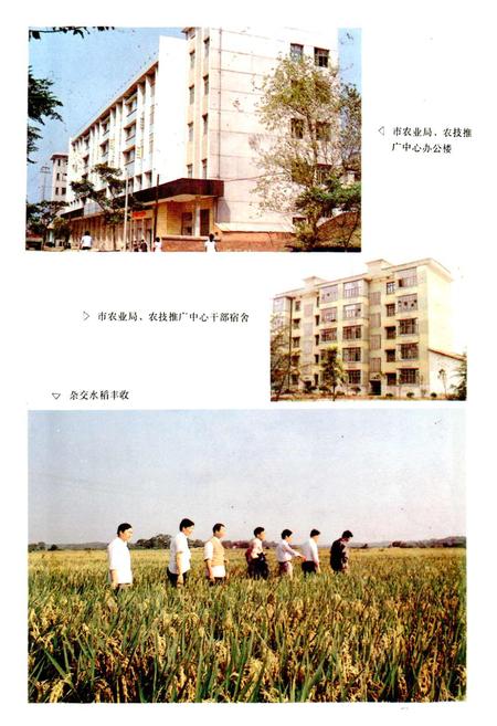 《醴陵农业志》.pdf电子版_湖南省志插图4