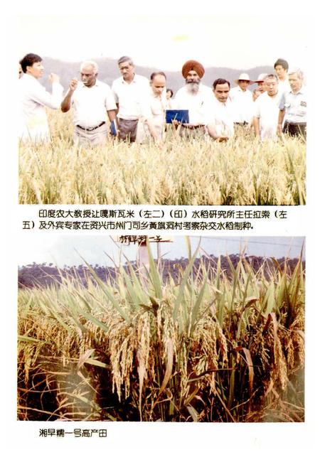 《郴州地区农业志》.pdf电子版_湖南省志插图4