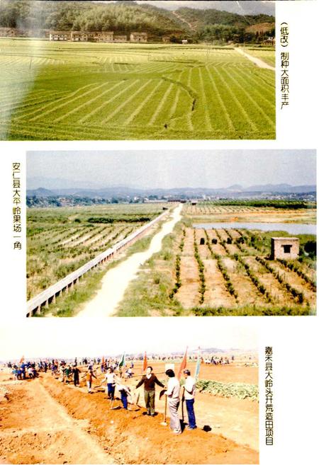 《郴州地区农业志》.pdf电子版_湖南省志插图5