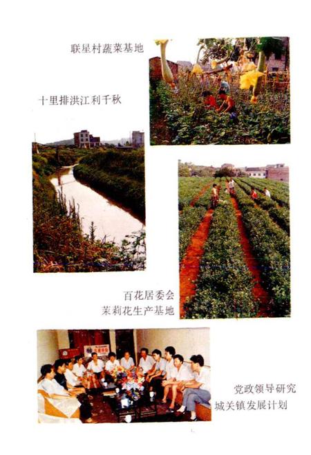 《攸县城关镇志》.pdf电子版_湖南省志插图3