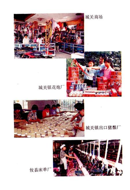 《攸县城关镇志》.pdf电子版_湖南省志插图5