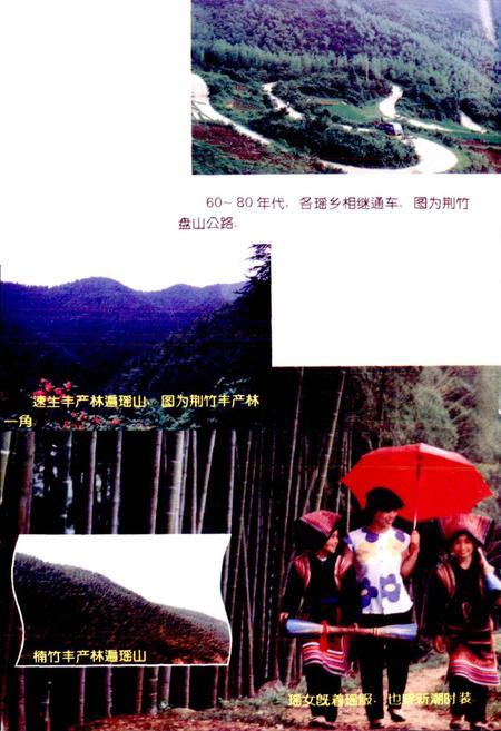 《蓝山县瑶族志》.pdf电子版_湖南省志插图5