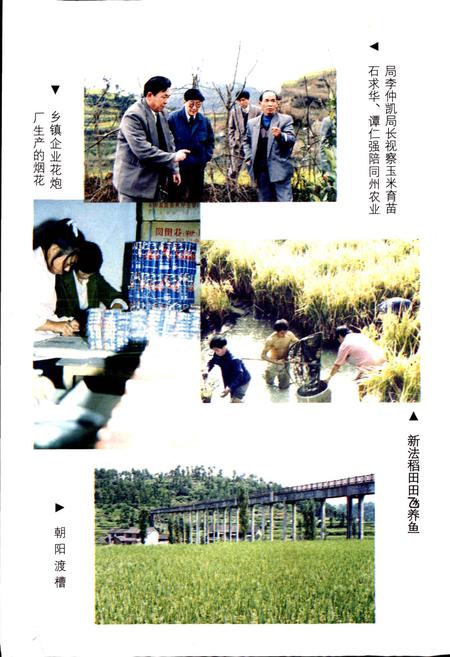 《凤凰县农业志》.pdf电子版_湖南省志插图5