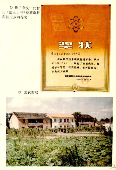 《益阳市蔬菜志》.pdf电子版_湖南省志插图3