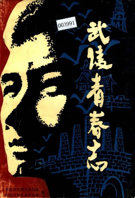 《武陵青春志》.pdf电子版_湖南省志