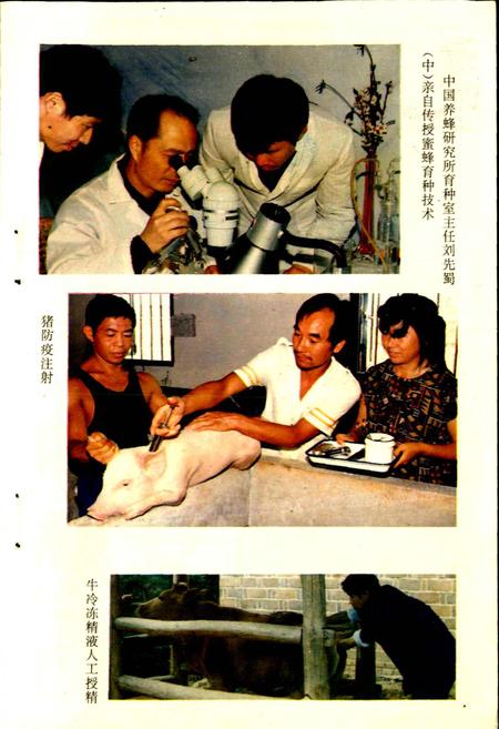 《平江县畜牧水产志》.pdf电子版_湖南省志插图5