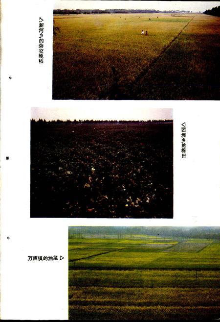 《华容县农业志》.pdf电子版_湖南省志预览图4