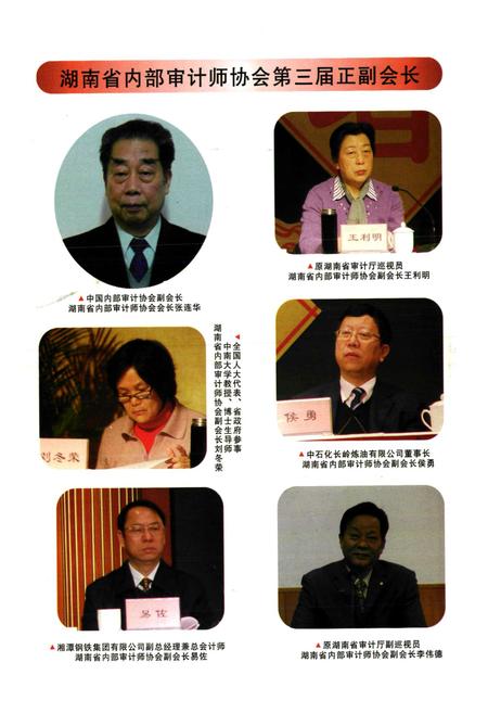 《湖南省内部审计志(1985-2010)》.pdf电子版_湖南省志插图3 《湖南省内部审计志(1985-2010)》.pdf电子版_湖南省志插图3