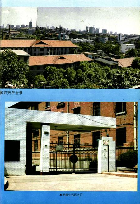 《湖南有色金属研究所志(1986-1990)》.pdf电子版_湖南省志插图5 《湖南有色金属研究所志(1986-1990)》.pdf电子版_湖南省志插图5