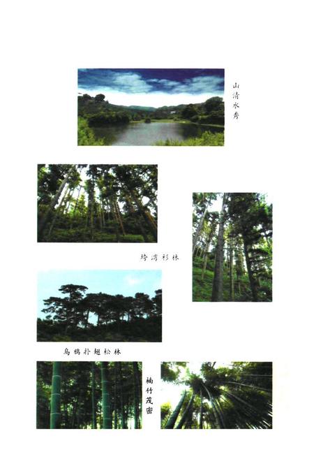 《胜峰国有林场志》.pdf电子版_湖南省志插图5