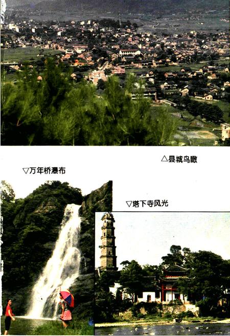 《蓝山县志林业志》.pdf电子版_湖南省志预览图5