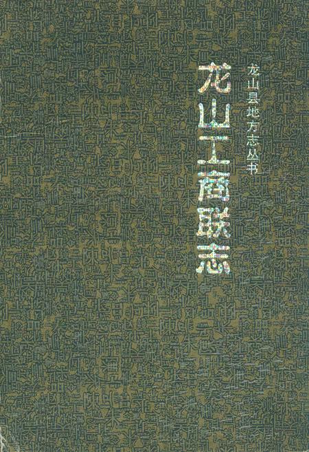 《龙山工商联志(1911-2006)》.pdf电子版_湖南省志缩略图
