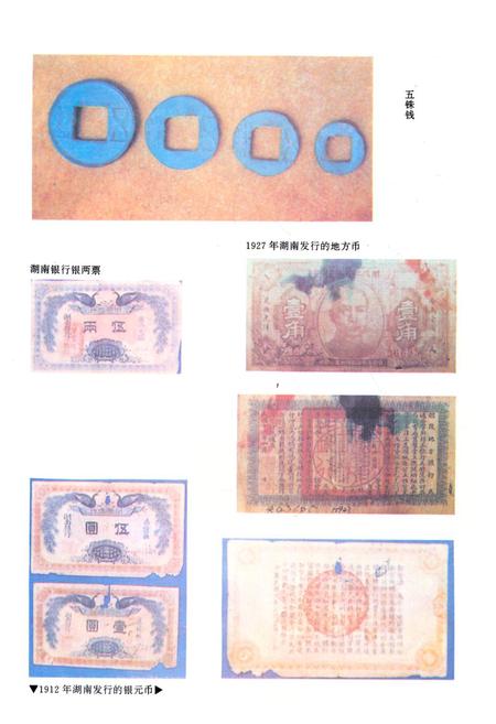 《《岳杨农村金融法》》.pdf电子版_湖南省志预览图5