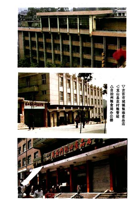 《粮食贸易志》.pdf电子版_湖南省志插图2