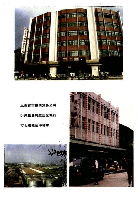 《粮食贸易志》.pdf电子版_湖南省志插图3