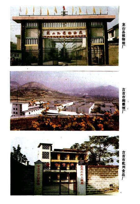 《粮食贸易志》.pdf电子版_湖南省志插图5