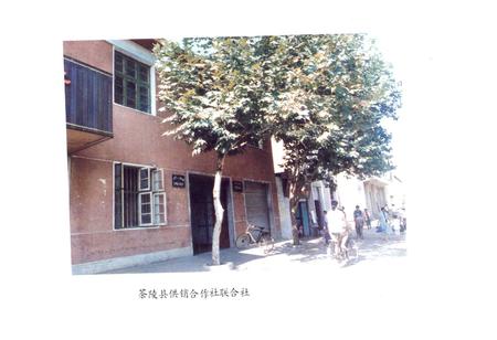 《茶陵县供销合作社志》.pdf电子版_湖南省志插图4 《茶陵县供销合作社志》.pdf电子版_湖南省志插图4