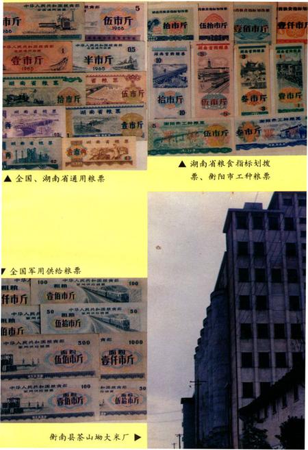 《衡阳市粮油志》.pdf电子版_湖南省志插图4 《衡阳市粮油志》.pdf电子版_湖南省志插图4