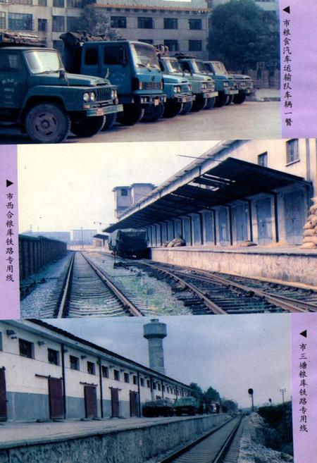 《衡阳市粮油志》.pdf电子版_湖南省志插图5 《衡阳市粮油志》.pdf电子版_湖南省志插图5