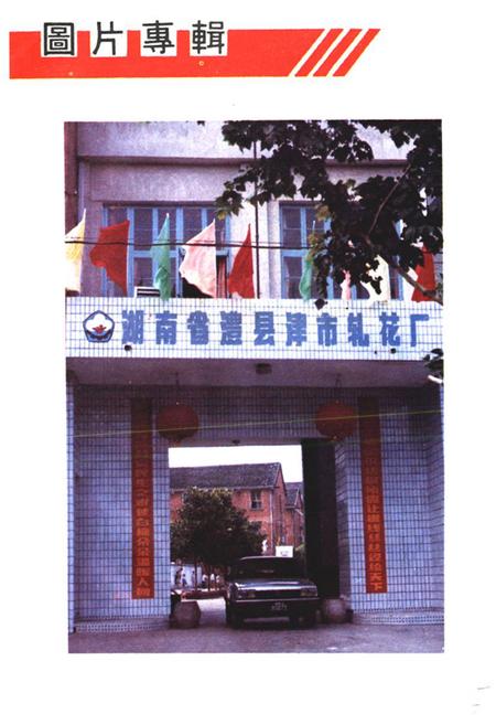《湖南省澧县津市轧花厂厂志(1932-1992)》.pdf电子版_湖南省志插图5