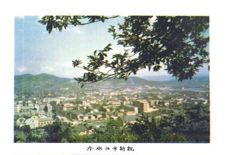 《湖南省金竹山电厂厂志(1967-1982)》.pdf电子版_湖南省志预览图5