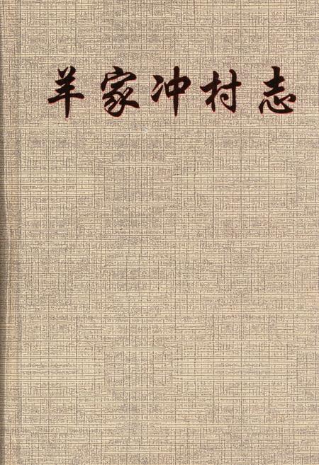 《羊家冲村志》.pdf电子版_湖南省志