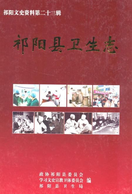 《祁阳县卫生志》.pdf电子版_湖南省志