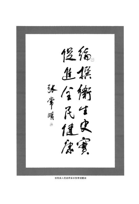 《祁阳县卫生志》.pdf电子版_湖南省志插图3