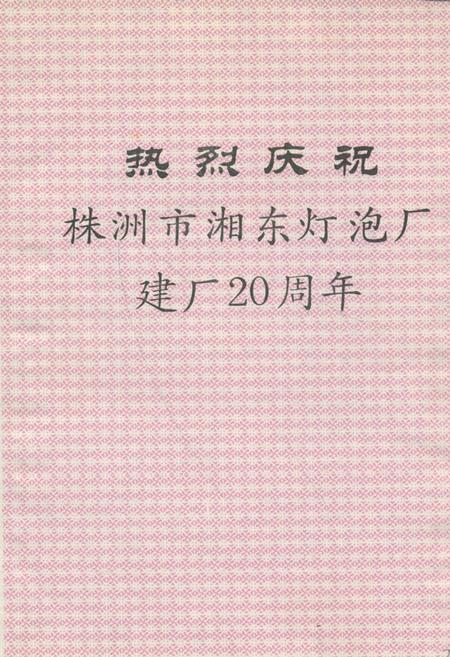 《《株洲市湘东灯泡厂厂志》》.pdf电子版_湖南省志插图3