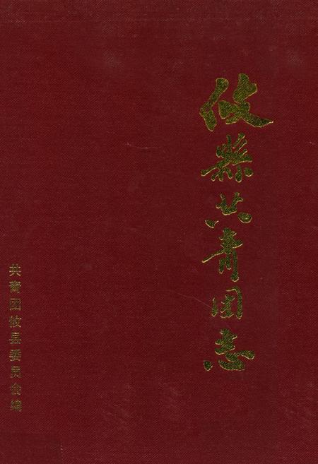 《攸县共青团志》.pdf电子版_湖南省志缩略图