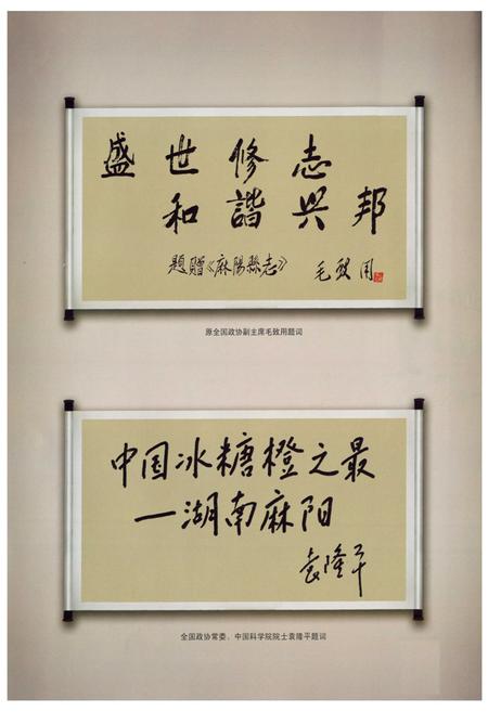 《麻阳县志(1978~2005)》.pdf电子版_湖南省志插图5