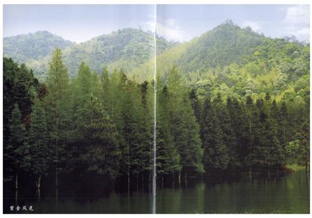 《双牌县志》.pdf电子版_湖南省志插图2