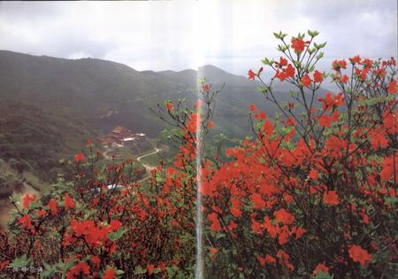 《双牌县志》.pdf电子版_湖南省志插图4