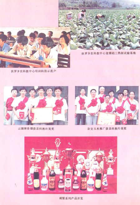 《《新晃侗族自治县·科学技术志》》.pdf电子版_湖南省志插图4