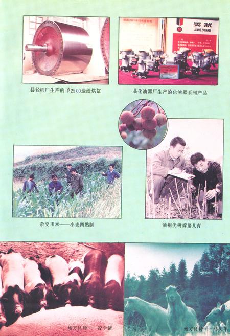 《《新晃侗族自治县·科学技术志》》.pdf电子版_湖南省志插图5