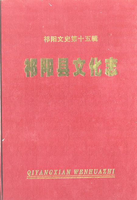 《《祁阳县文化志》》.pdf电子版_湖南省志