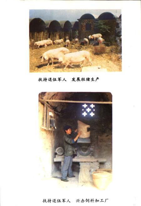 《《零陵县民政志》(1840年-1984年)》.pdf电子版_湖南省志插图3