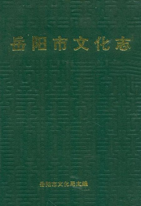 《《岳阳市文化志》》.pdf电子版_湖南省志