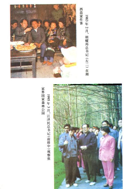 《湖南省志(第二十四卷)民族志》.pdf电子版_湖南省志插图4 《湖南省志(第二十四卷)民族志》.pdf电子版_湖南省志插图4