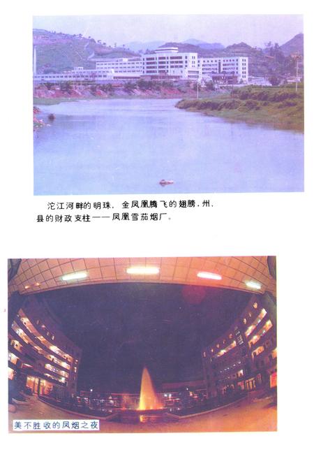 《《凤凰雪茄烟厂志》》.pdf电子版_湖南省志插图2